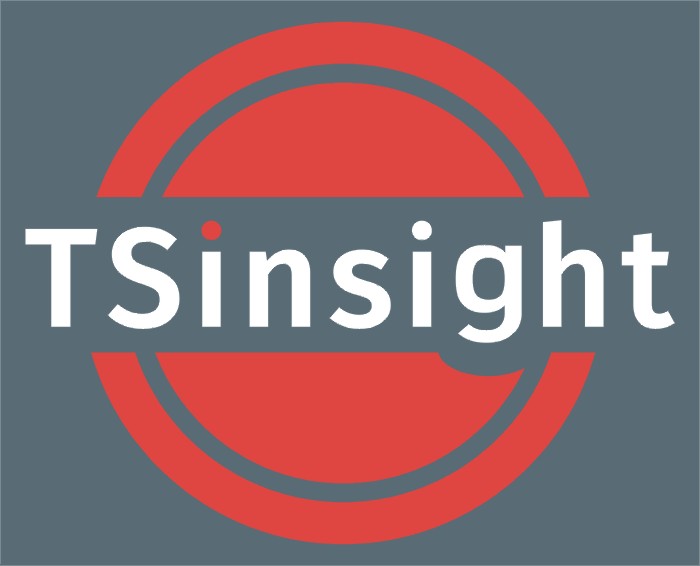 TSInsight